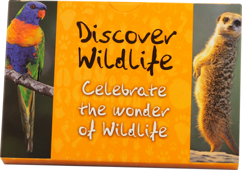 Discover Wildlife