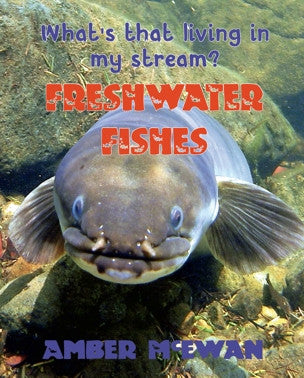 What's that living in my Stream?  Freshwater Fishes by Amber McEwan