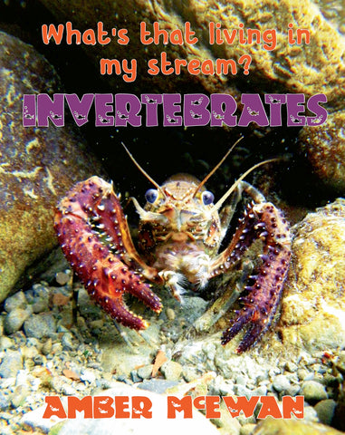 What's that living in my Stream?  Invertebrates by Amber McEwan