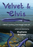 Velvet and Elvis written and eelustrated by Stephanie Bowman