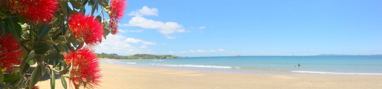 Summer at the beach